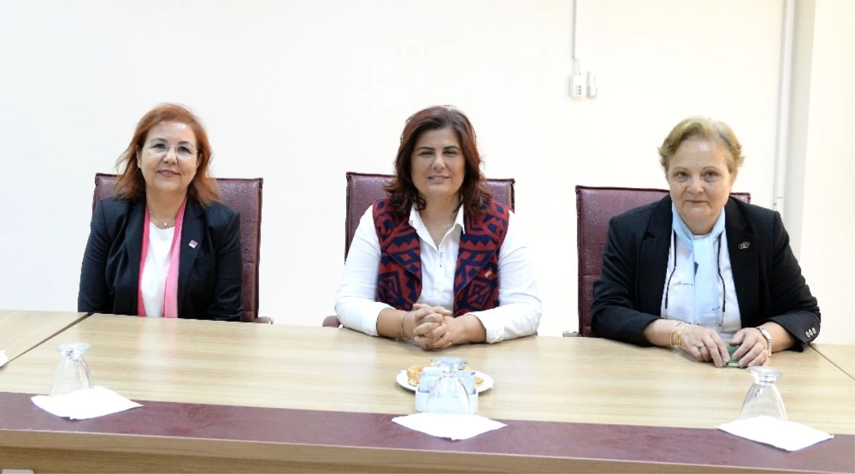 CHP Nilüfer Kadın Kolları Başkanı Alçiçek, Çerçioğlu\'nu Ziyaret Etti