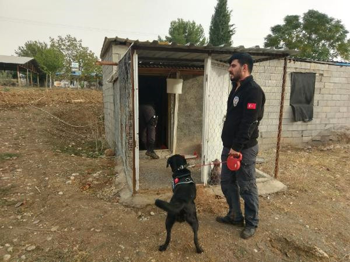 Güvercin Kümesindeki Uyuşturucuya 2 Gözaltı