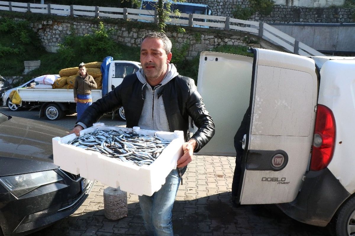 Hamsinin Kilosunu 2 Liradan Sattılar