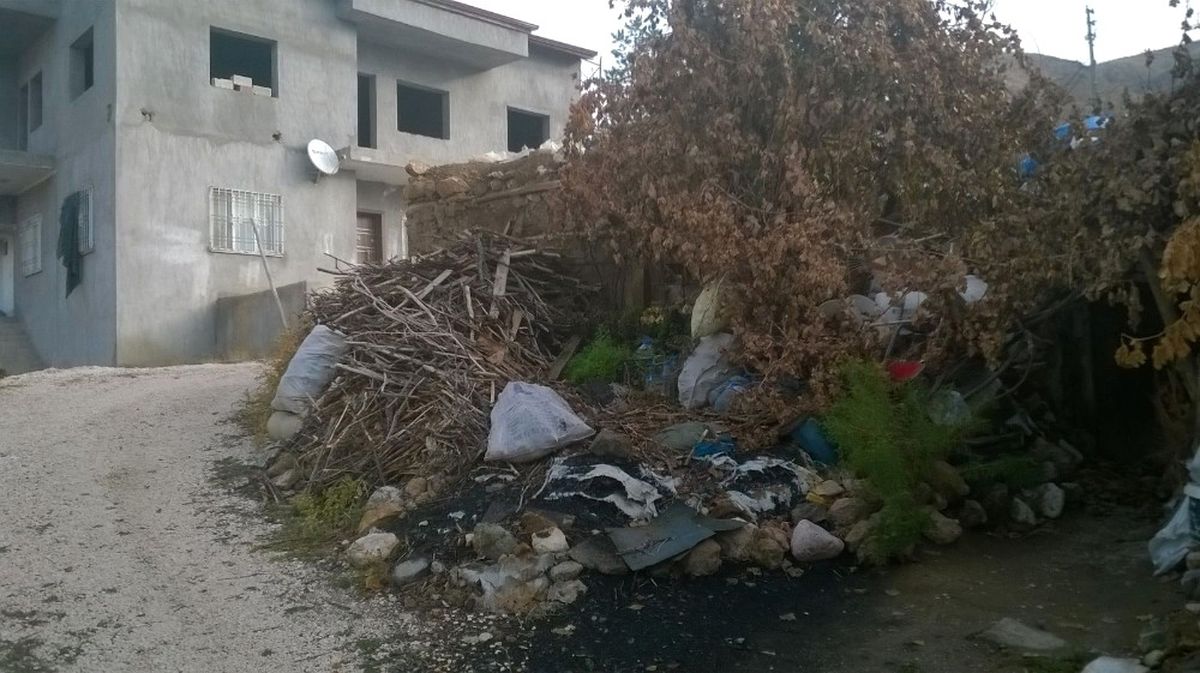 Yaşlı Kadına Kaymakam Sahip Çıktı