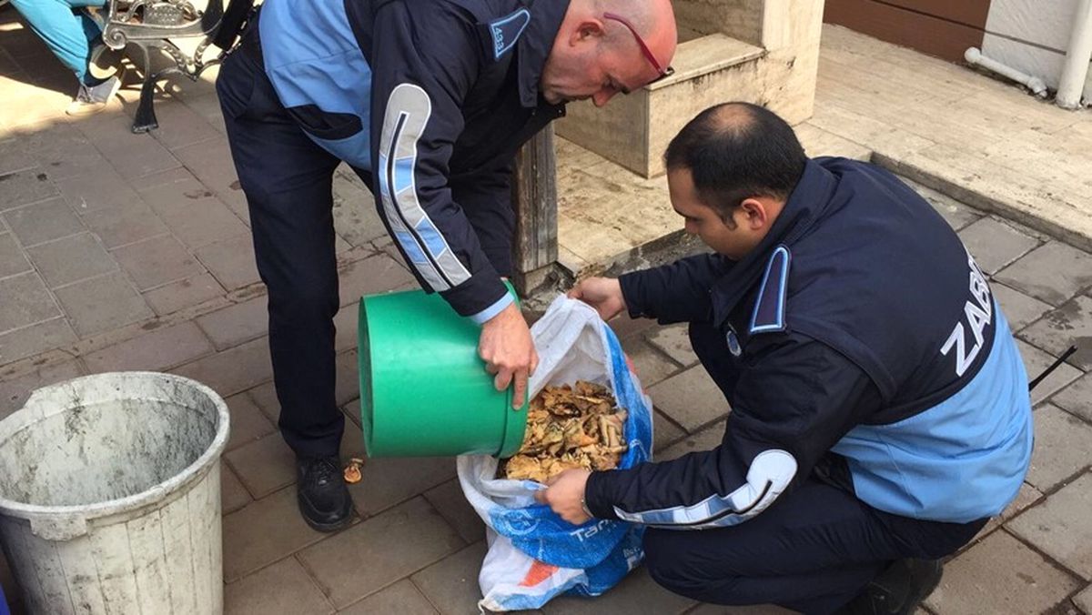 Zabıtadan Zehirli Mantar Uyarısı