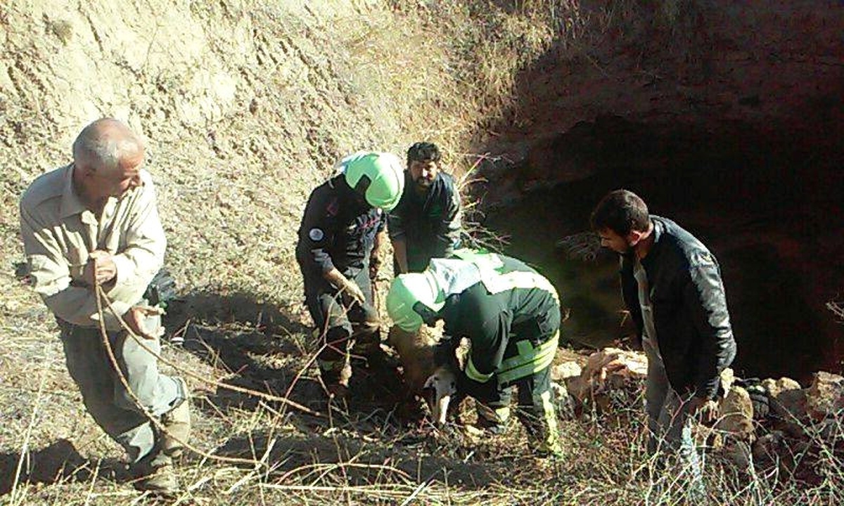 20 Metrelik Kuyuya Düşen Koyunu İtfaiye Kurtardı