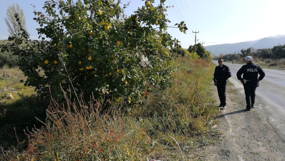 Ayvayı Yedi, Yerine Para Astı