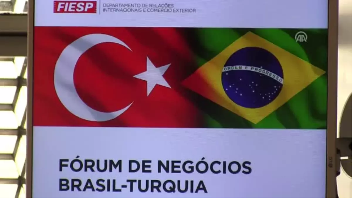 Brezilya-Türkiye İş Forumu - Sao