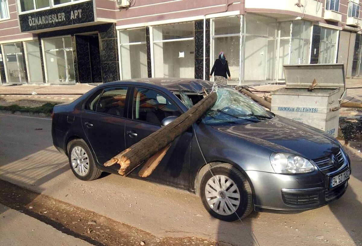 Çürüyen Telefon Direği Otomobilin Üzerine Düştü