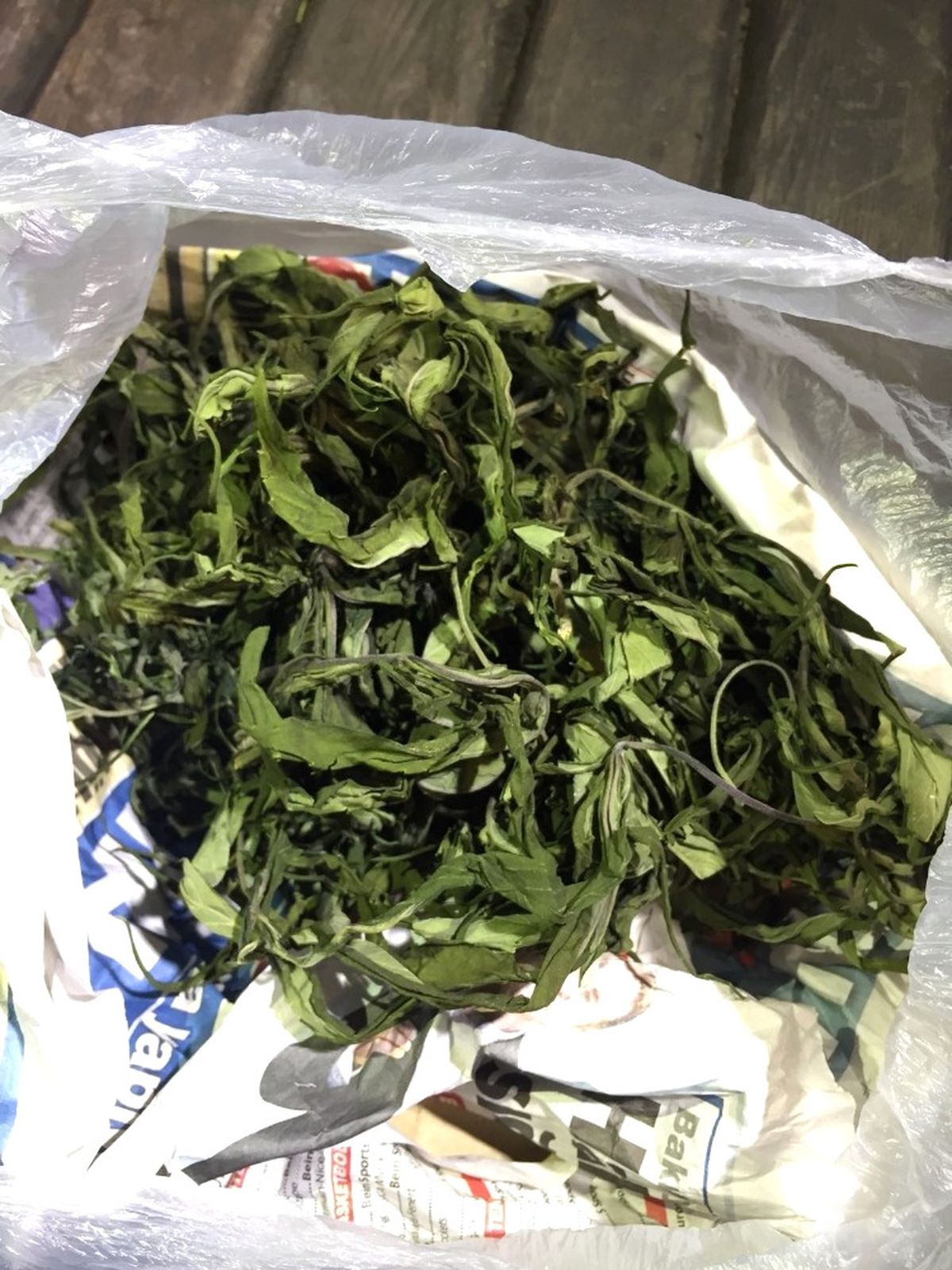 Karamürsel\'de 7 Torbacı ve 8 Kullanıcı Yakalandı