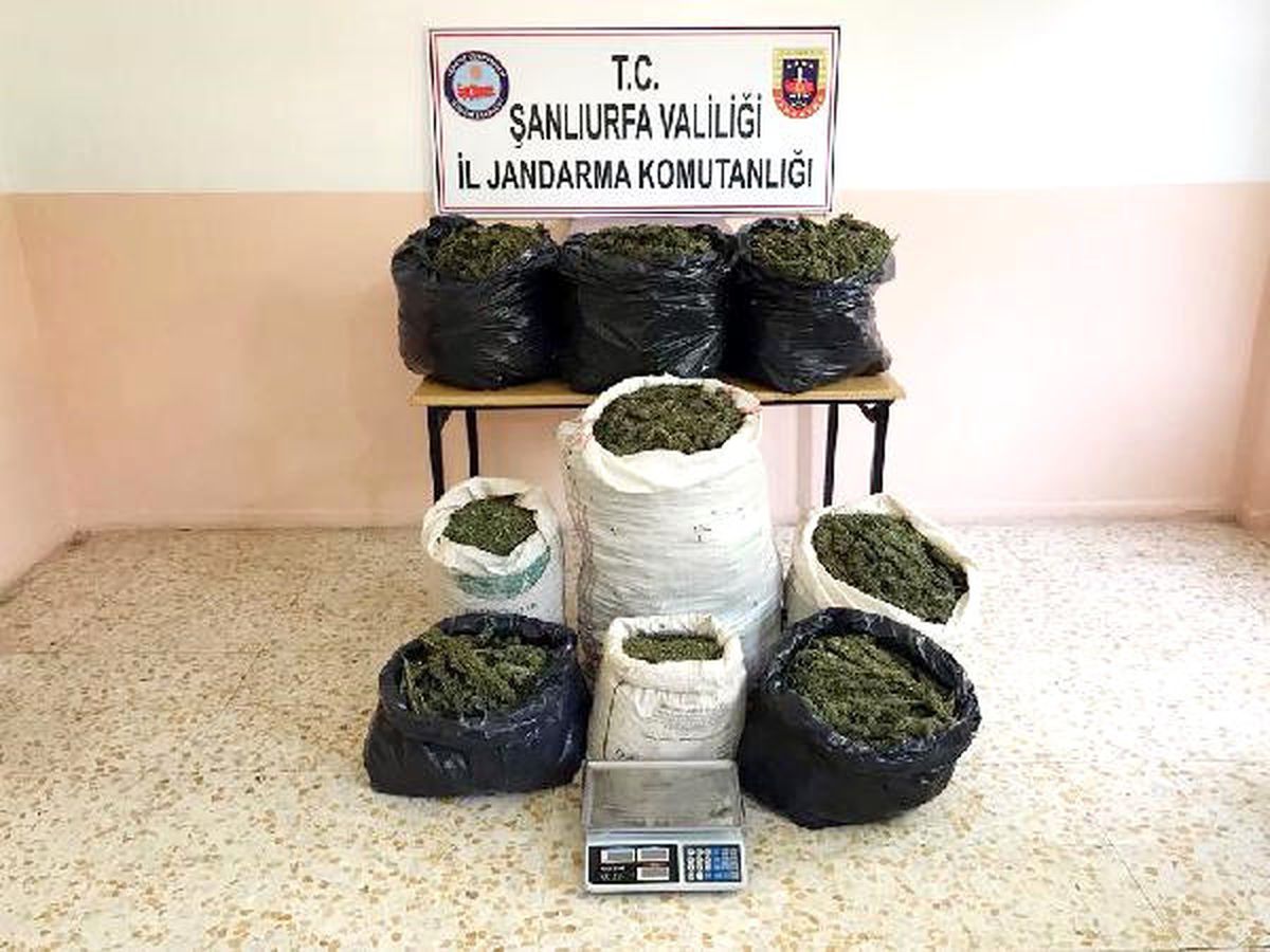 Şanlıurfa\'da 83 Kilo Esrara 3 Gözaltı
