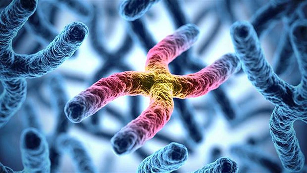 Telomer Tedavisi Nedir? İşte Telomer Tedavisi Hakkında Tüm Merak Edilenler