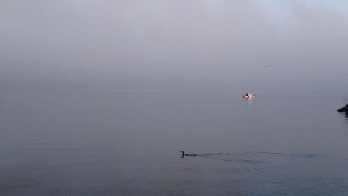 Çanakkale\'de Deniz Ulaşımına Sis Engeli