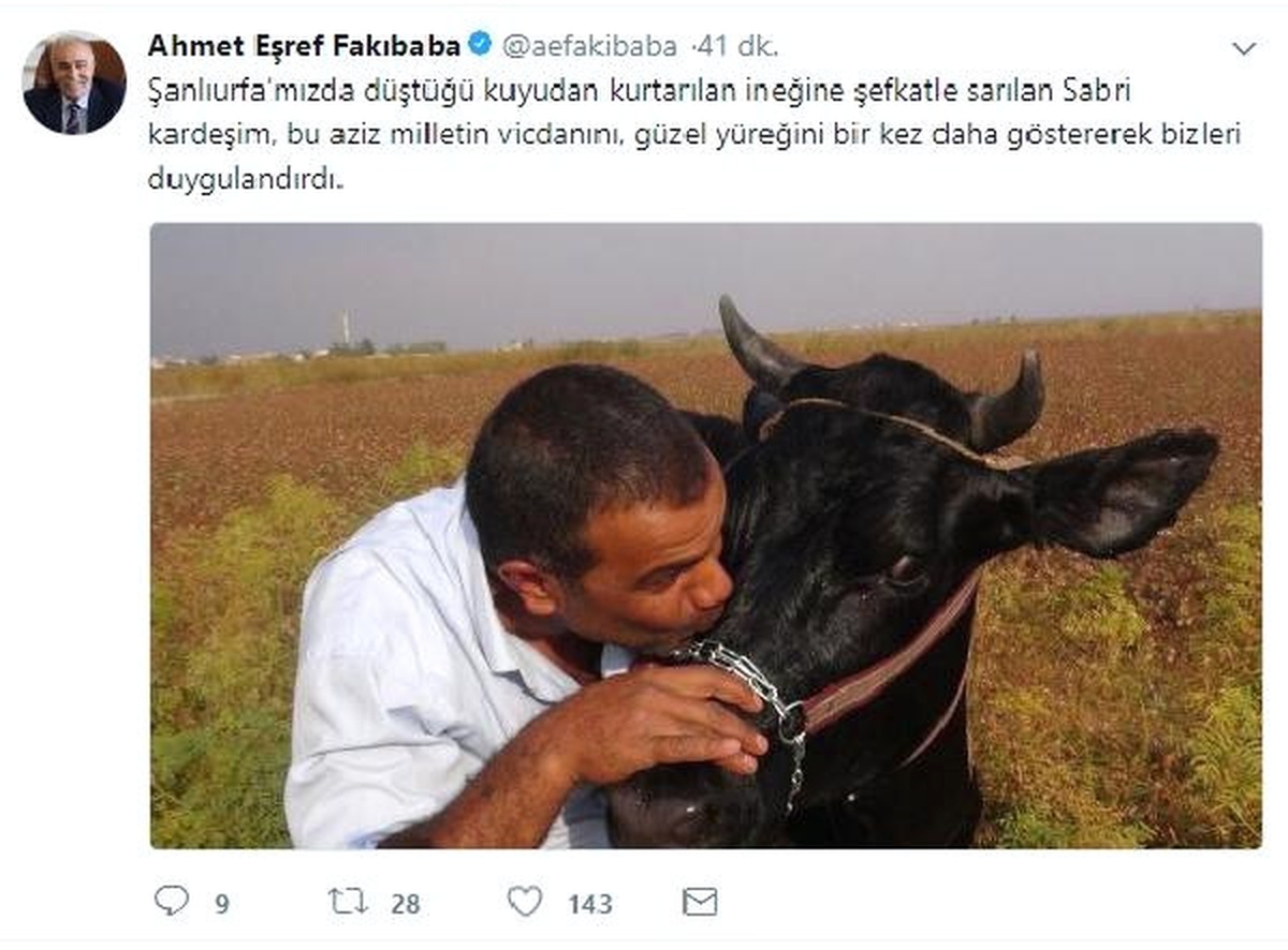 Düştüğü Kuyudan Kurtarılan İneğini Öptü (2)