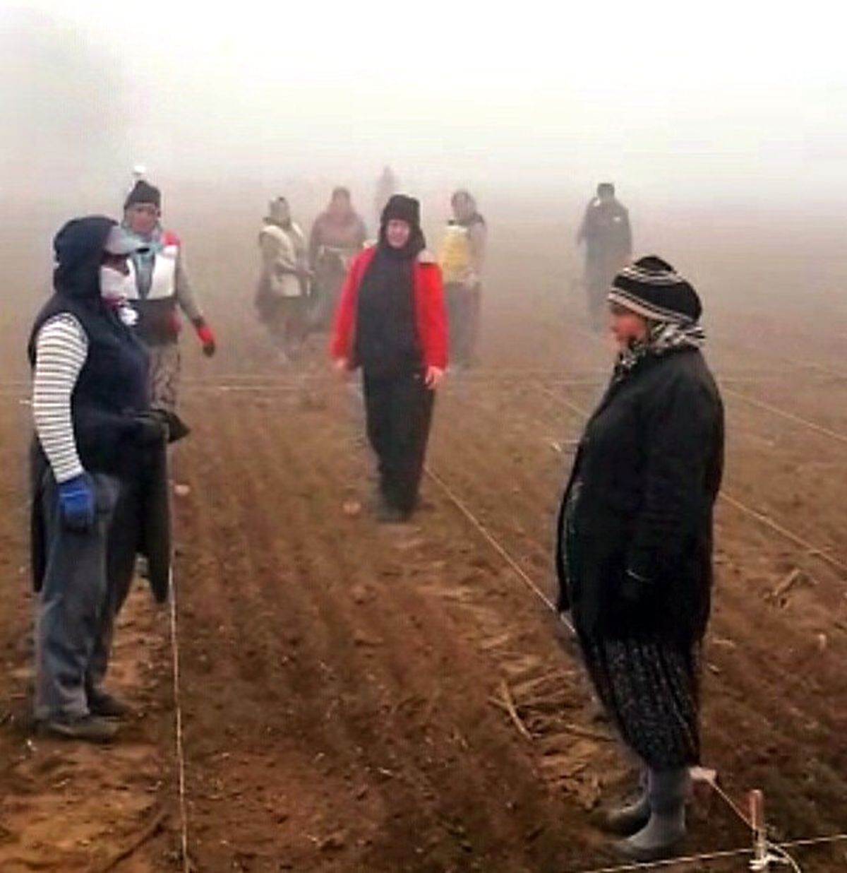 Gazi Mustafa Kemal\'e Tarlada Çalışan Kadınlardan Saygı Duruşu