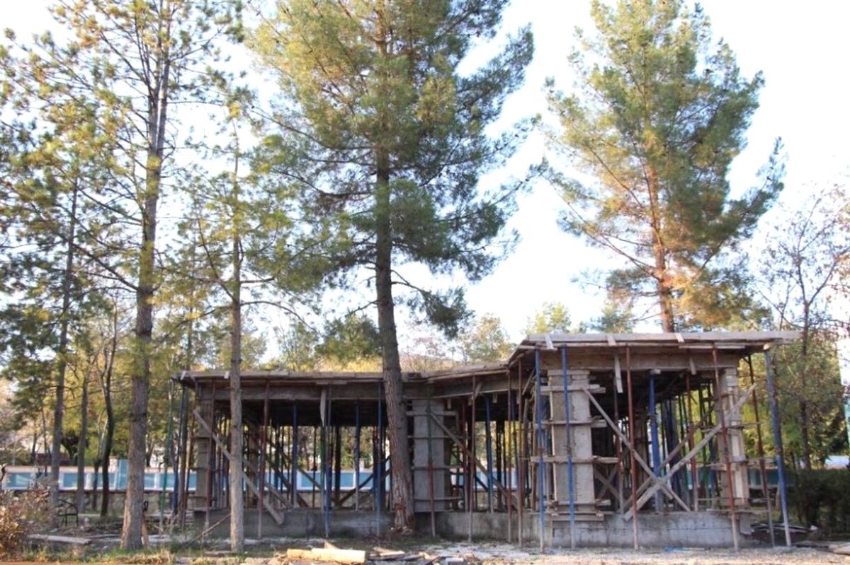 Hani Belediyesi 35 Yıllık Çam Ağacını Kesmemek İçin Projede Değişiklik Yaptı