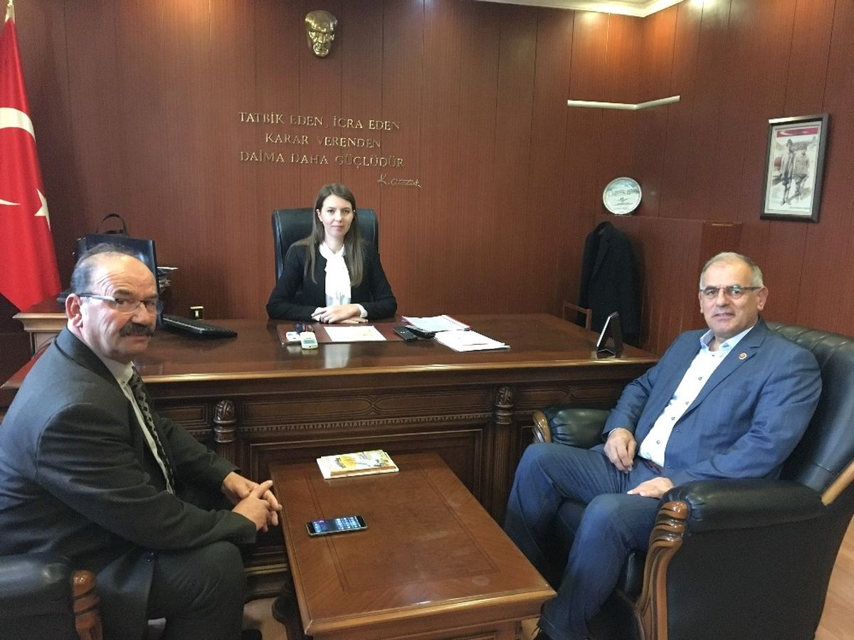 Mahmudiye İlçesine Atanan İlk Kadın Kaymakam Görevine Başladı