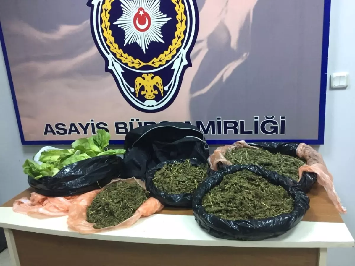 Marul İçine Uyuşturucu Koyup İzmir\'e Getirmişler