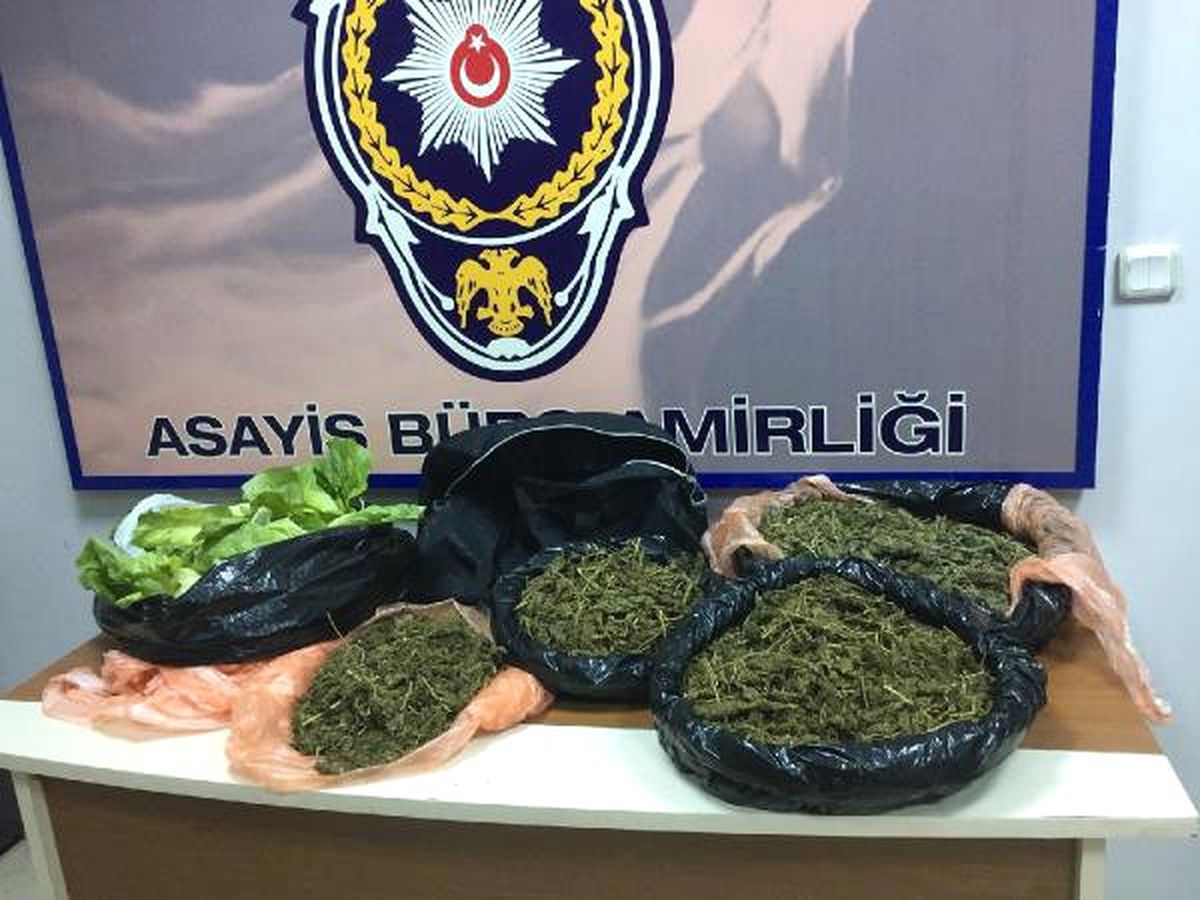 Marulun İçinden 3 Kilo Esrar Çıktı