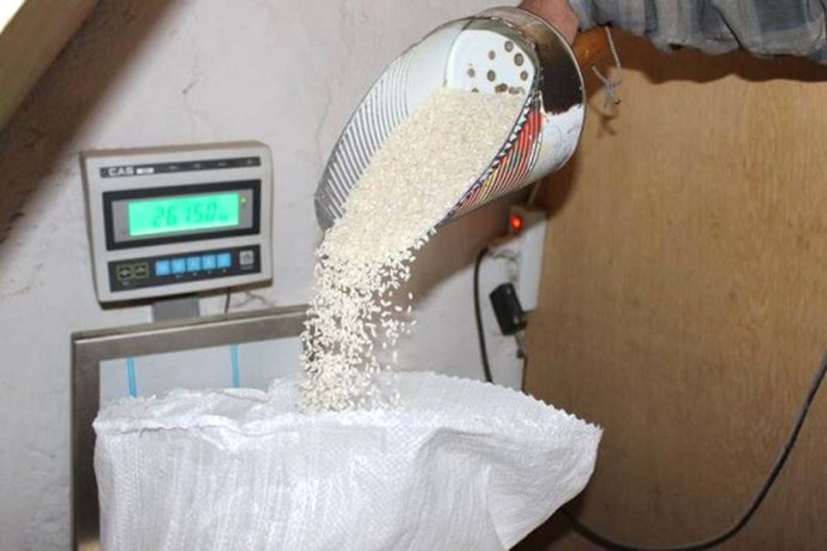 Tosya Pirincine Coğrafi İşaret Verildi