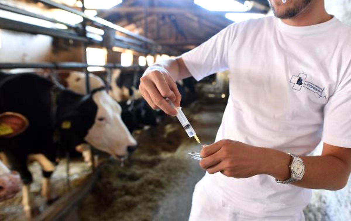Uzmanlar Uyarıyor: Antibiyotikleri Sorumlu Kullanın Yoksa Sonuçlarıyla Yüzleşirsiniz
