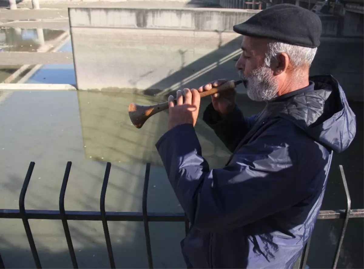 Nehirde Su Kesilince Binlerce Balık Telef Oldu