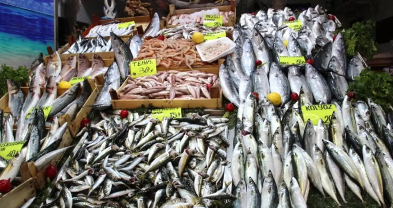 Fiyatı 5 Kat Artan Palamut, Zam Şampiyonu Oldu