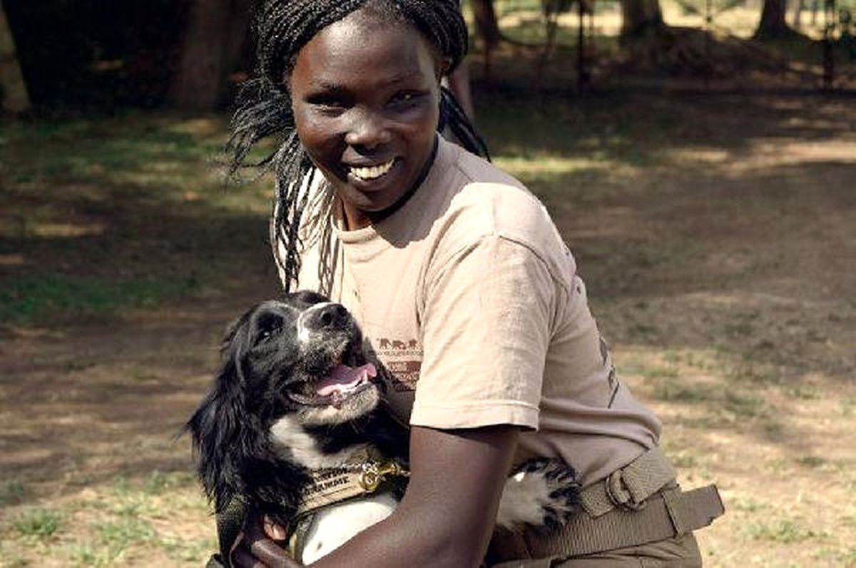 Vahşi Yaşam Köpeklere Emanet