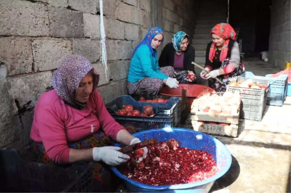 13 Kilo Nardan, 1 Kilo Nar Ekşisi