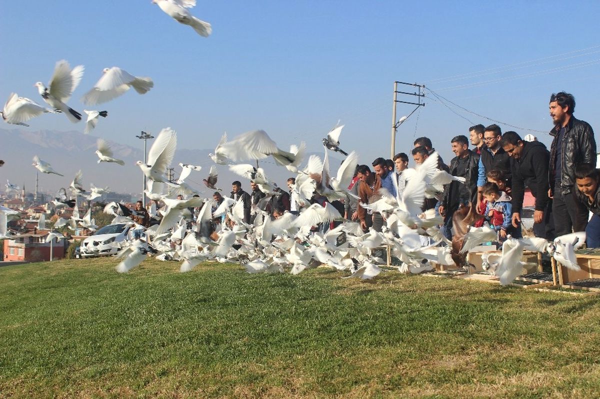 500 Güvercin Dostluk ve Barış İçin Uçuruldu