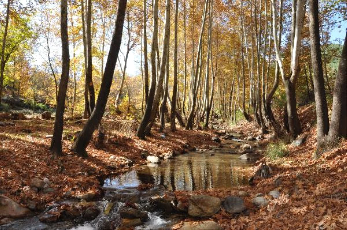 İdilli Vadisi\'nde, Sonbahar Güzelliği