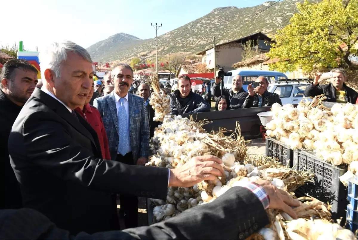 Marka Olma Hedefindeki Çaltı Sarımsağı İçin Tanıtım Festivali