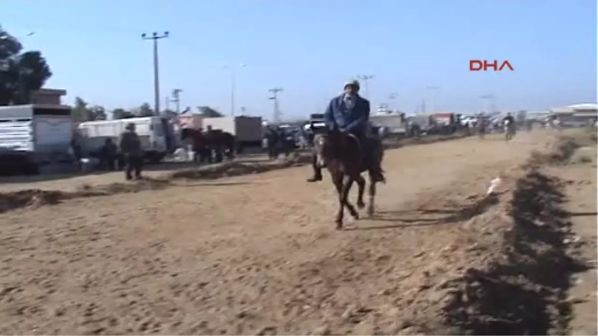 Aydın Rahvan At Yarışları Heyecan Yarattı