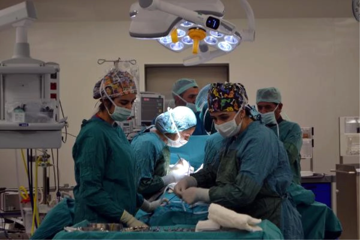 Beyin Kanaması Geçiren Kadının Organları Bağışlandı