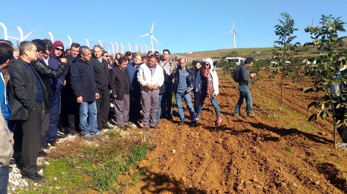Ender Muhammed Gümüş: Kütahya Artık Ceviz Üretiminin de Merkezidir