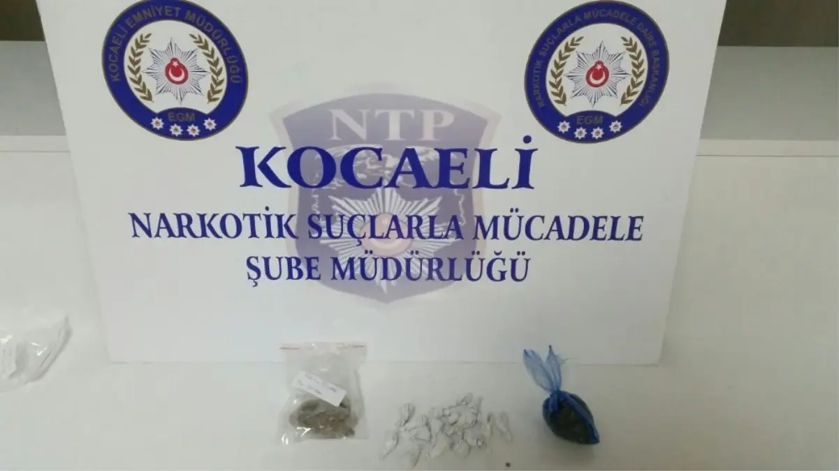 Kocali\'de Torbacı Operasyonu: 20 Gözaltı