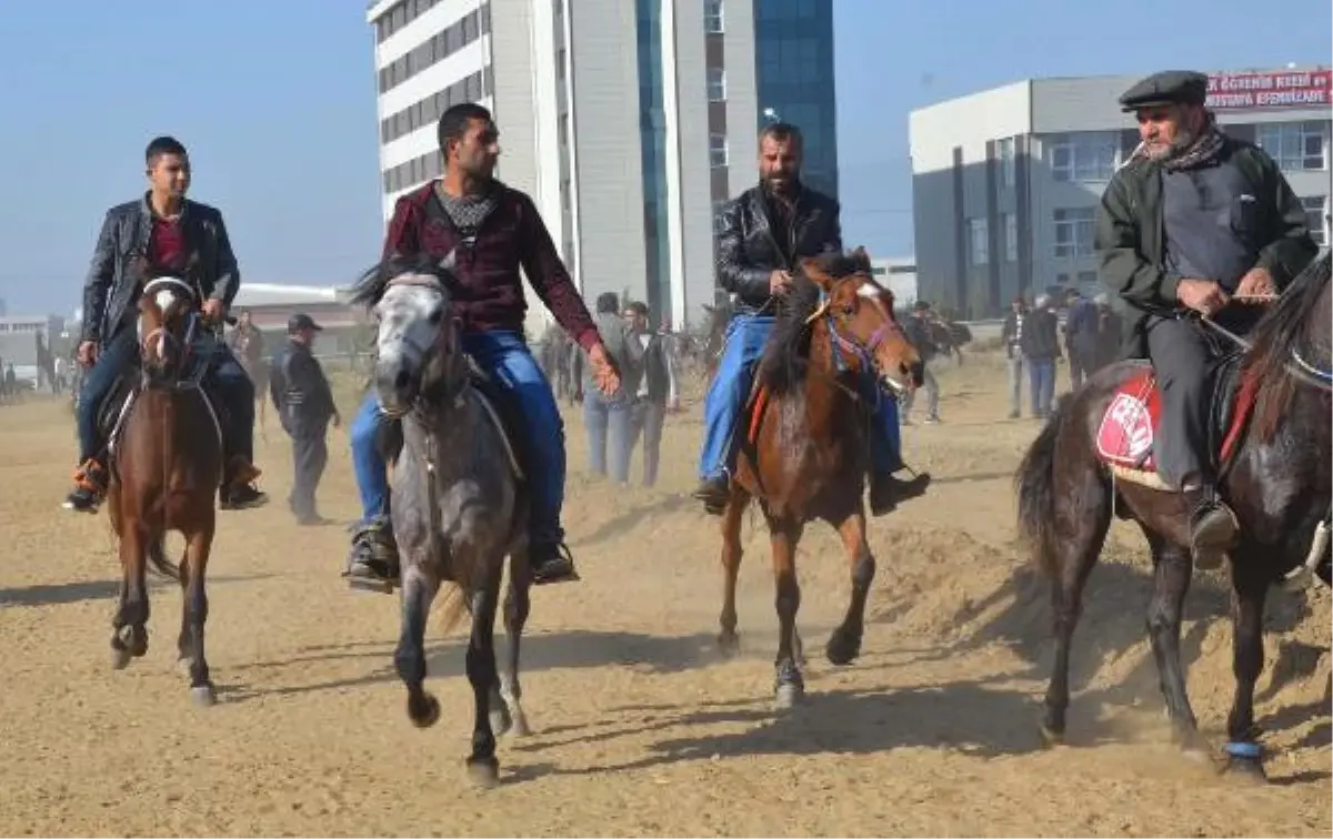 Nazilli\'de Rahvan At Yarışları Heyecanı Yaşandı