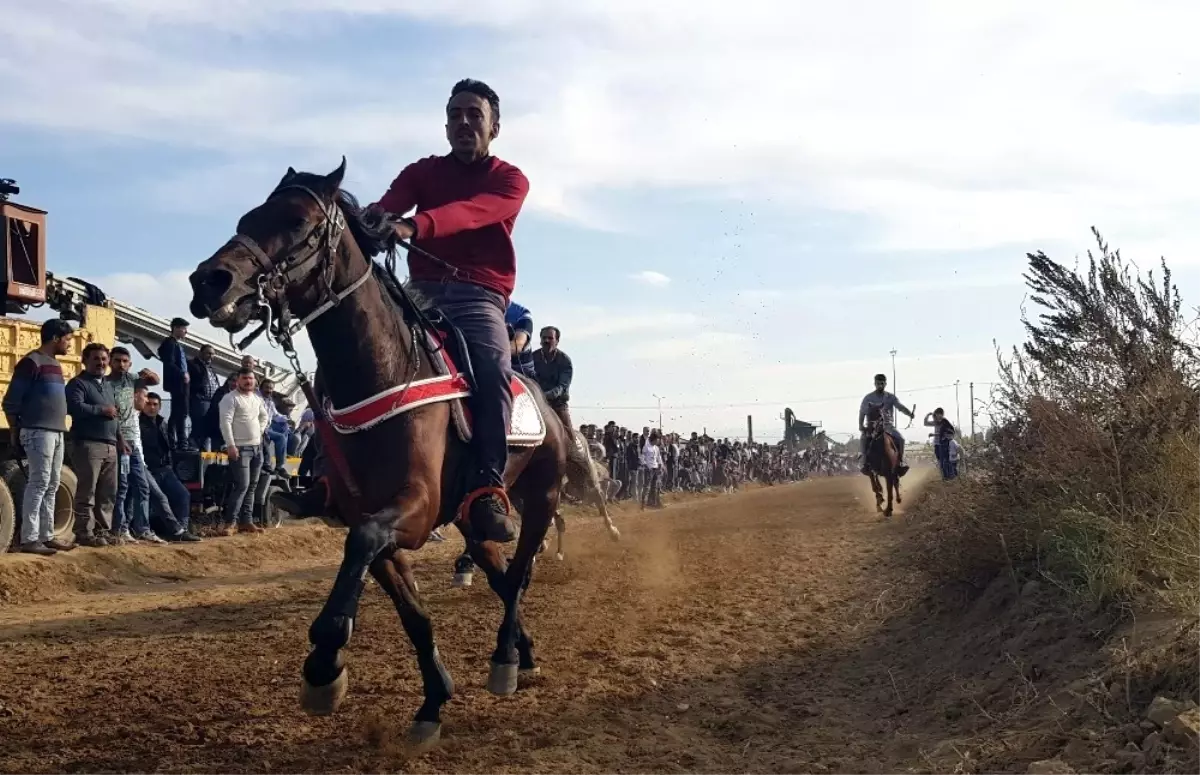 Rahvan Atlar Nazilli\'de Yarıştı