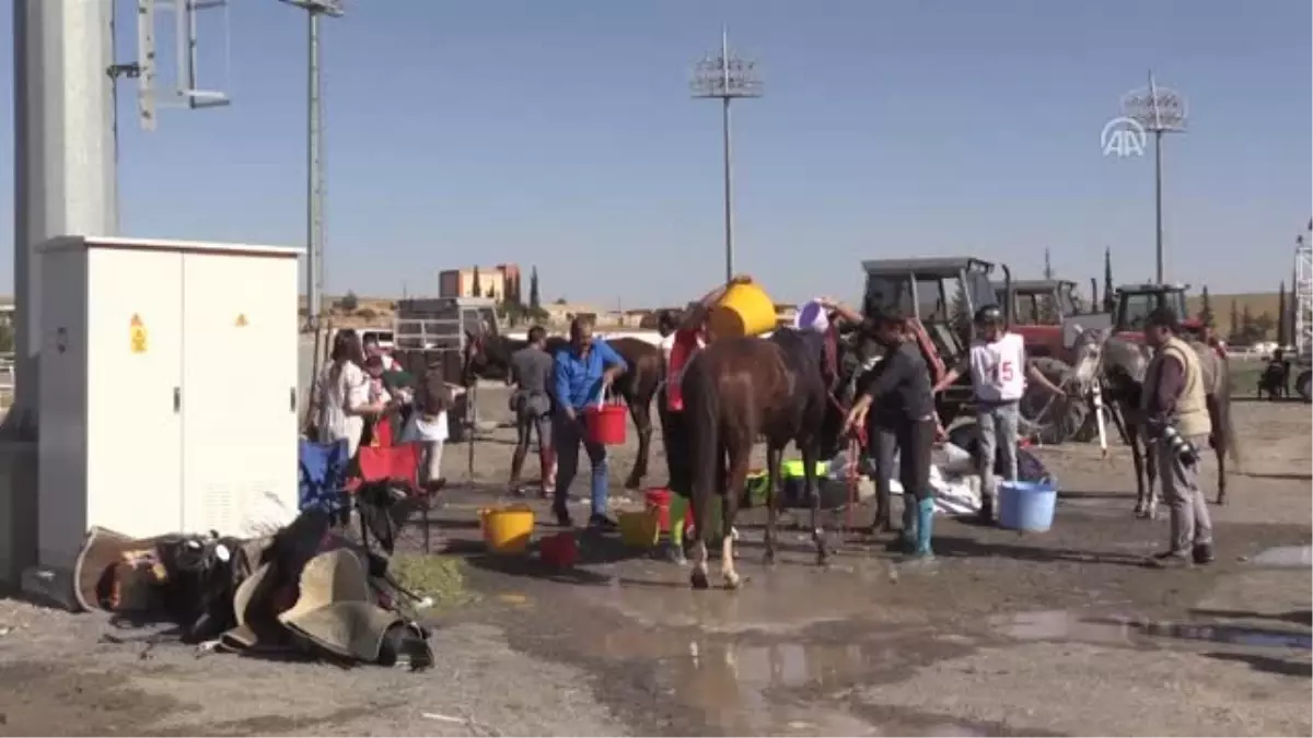 Urfalı Çocuklar Engelleri "At"La Aşacak