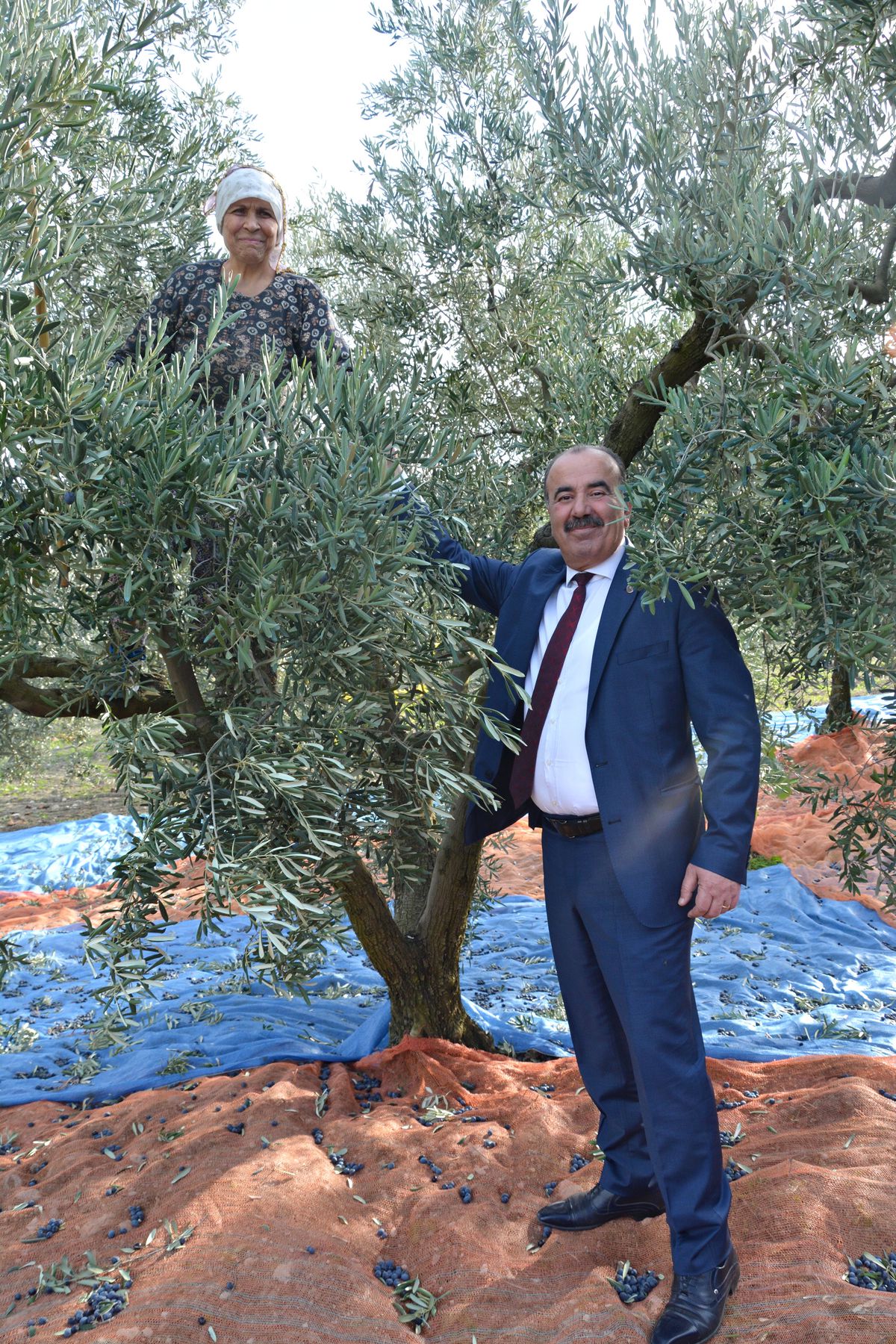 Zeytin Hasadındaki Üreticiye Başkan Sürprizi