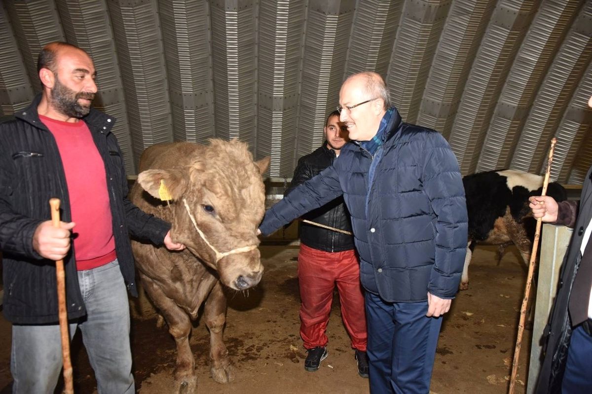 Başkan Kafaoğlu Hayvan Pazarını İnceledi