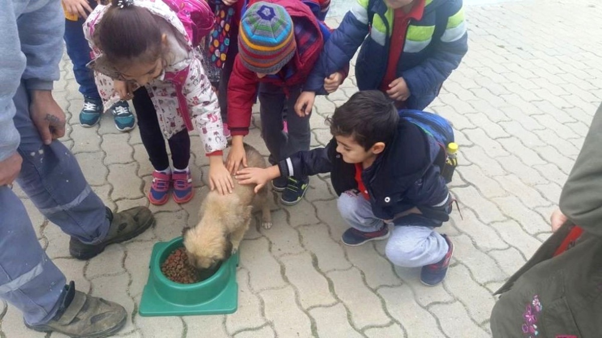 Geçici Bakımevinde Öğrencilere Hayvan Sevgisi Aşılanıyor