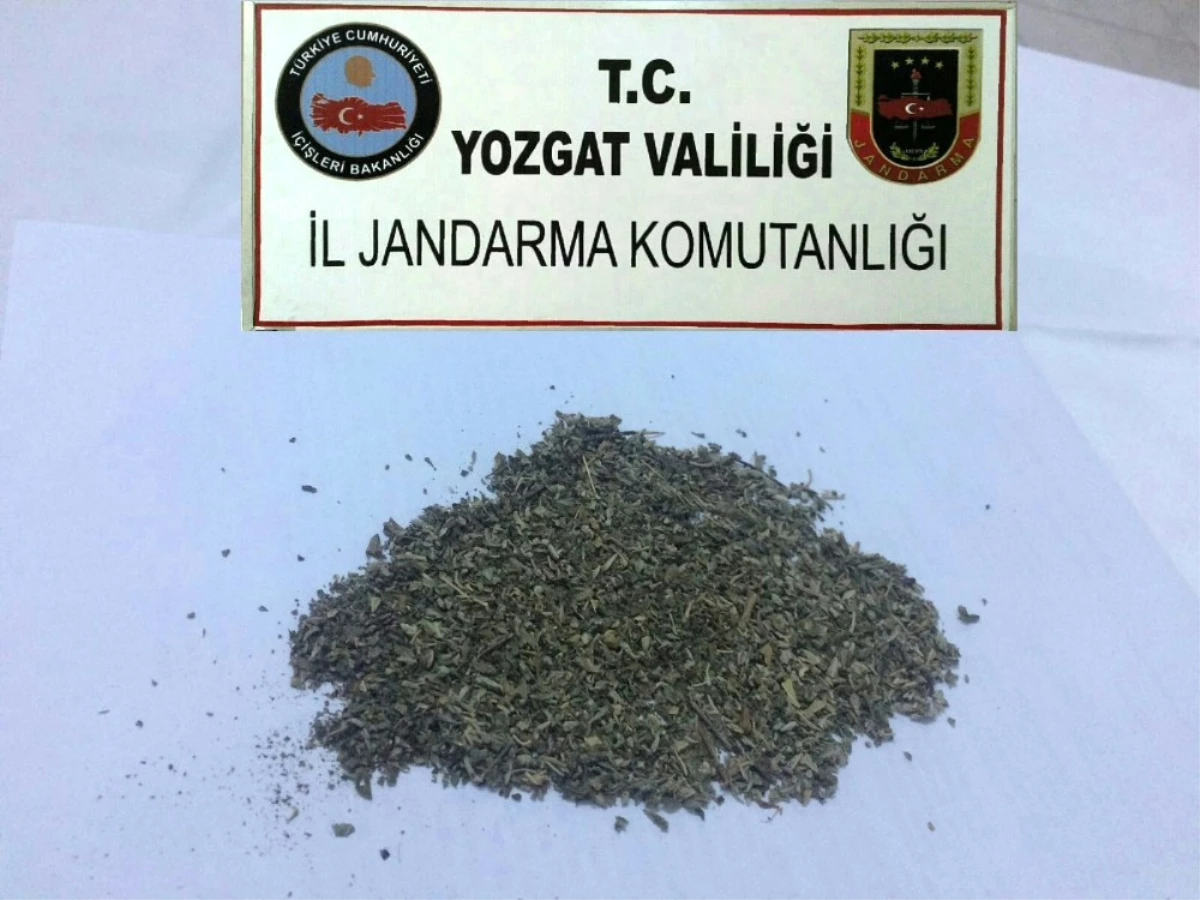 Jandarma Yol Kontrolünde Bonzai Ele Geçirdi