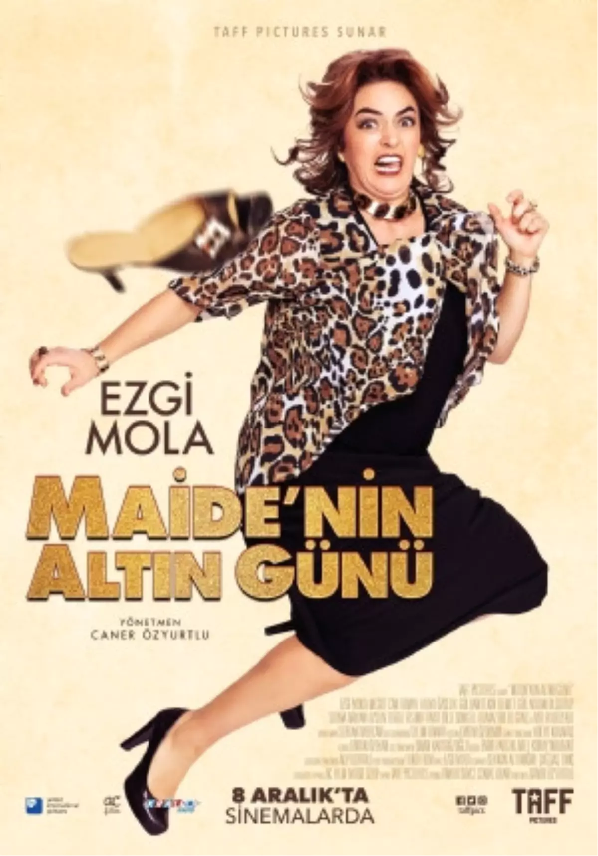 Maide\'nin Altın Günü Filmi