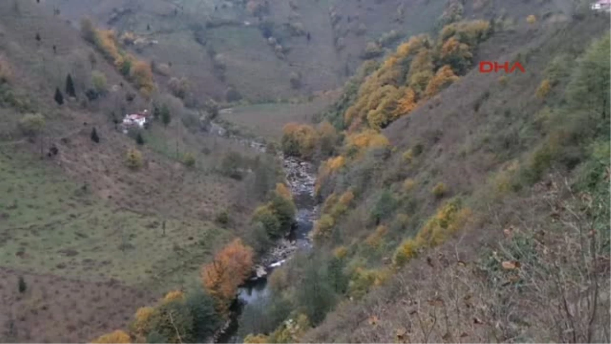 Ordu Turnasuyu Vadisi\'nde Renk Cümbüşü