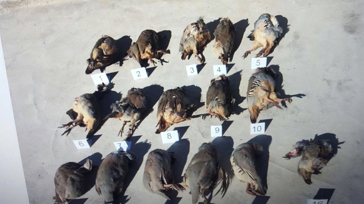 Usulsüz Avlanan 3 Kişiye, 7 Bin 210 Lira Ceza Kesildi