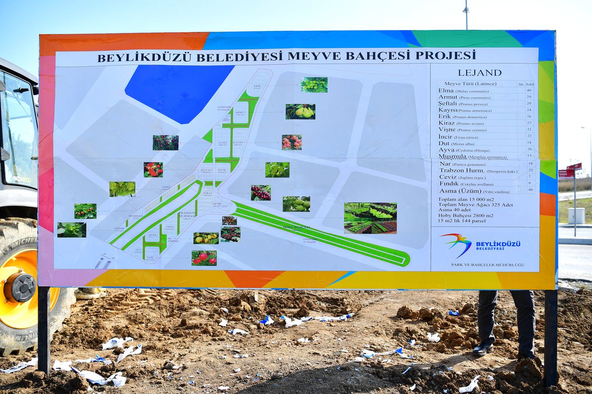 Beylikdüzü\'nde Dev Meyve Ormanı