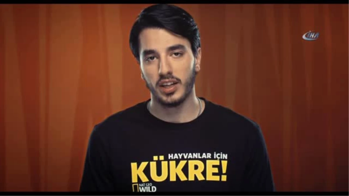 Galatasaray\'ın "Hayvanlar İçin Kükre" Projesi Felis Kazandı