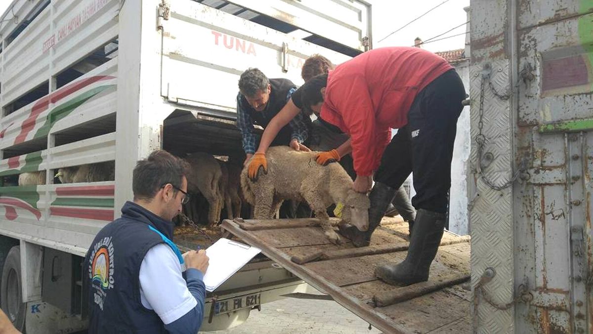 Genç Çiftçiler Köylerine Dönüyor