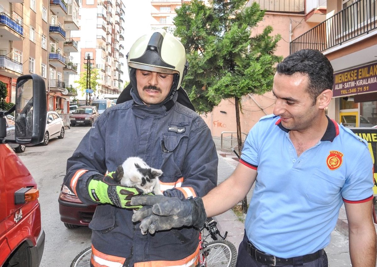 Hayvanların Cankurtaranı Ankara İtfaiyesi