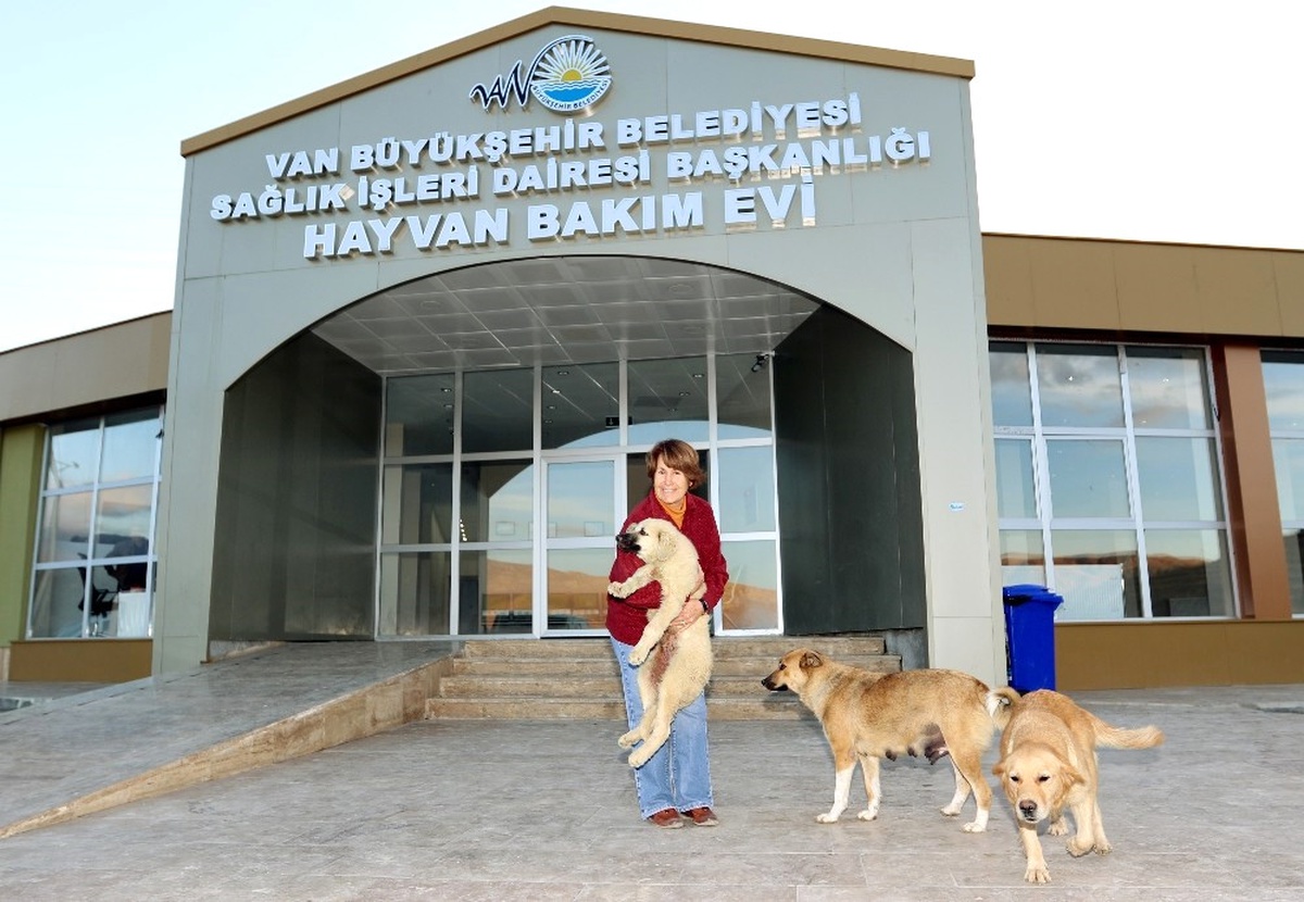 İşkence Edilen Köpeği İzmirli İş Kadını Sahiplendi