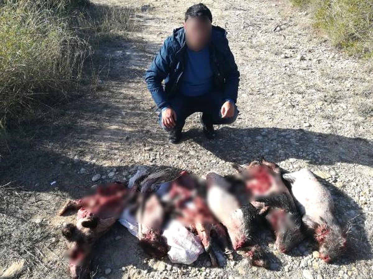 Osmaniye\'de Kirpi Avına 11 Bin Lira Ceza