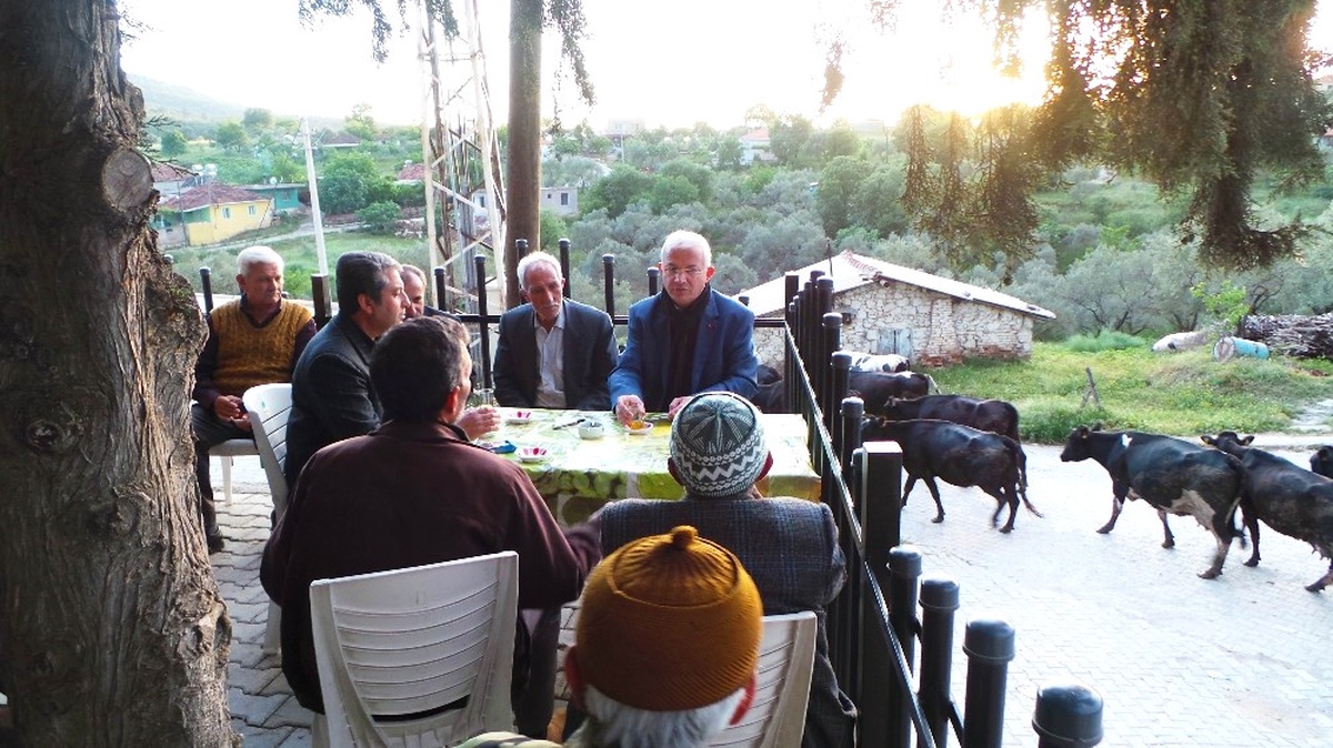 Torbalı\'daki Zeytin ve Zeytin Yağı Hasat Festivali İçin Geri Sayım