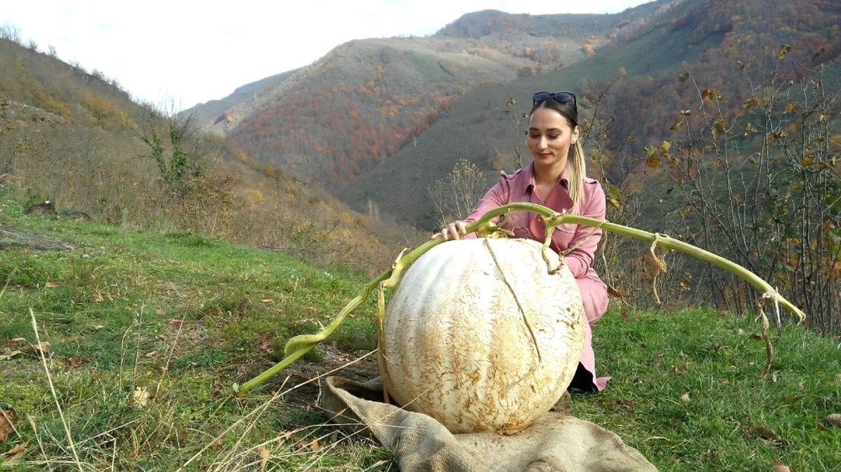60 Kiloluk Kabak